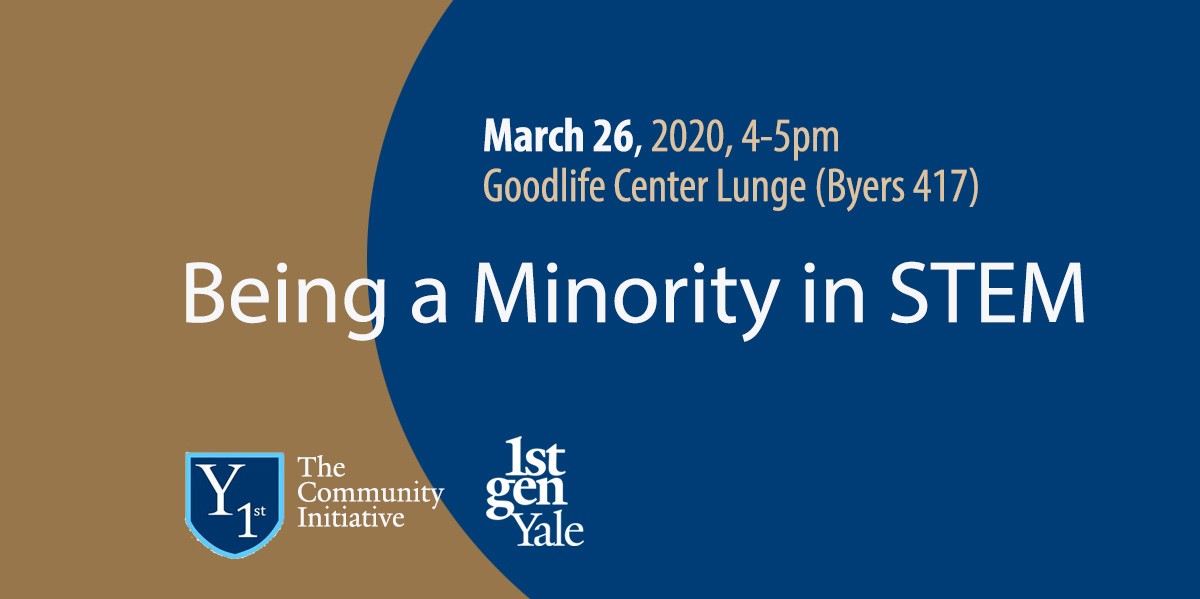 minority in stem